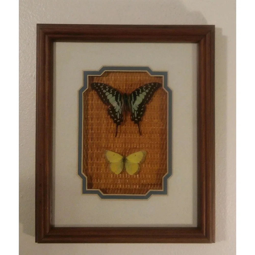 Butterfly Mounts - in 9.5 x 11.5